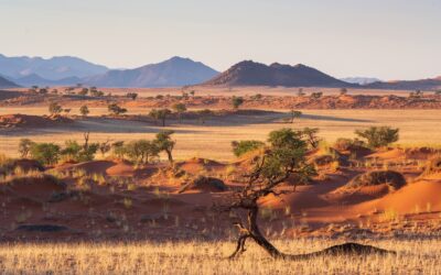 Najpiękniejsze miejsca w Namibii, które musisz zobaczyć!